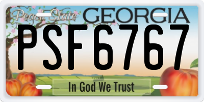 GA license plate PSF6767