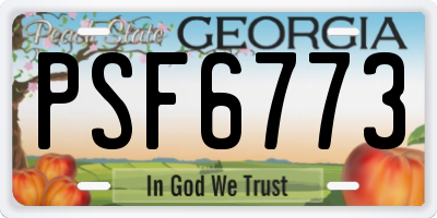 GA license plate PSF6773