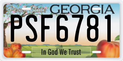 GA license plate PSF6781