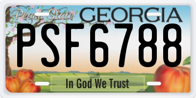 GA license plate PSF6788