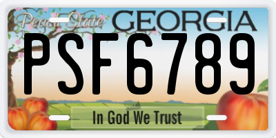 GA license plate PSF6789