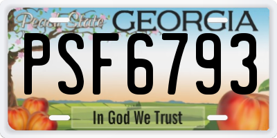 GA license plate PSF6793