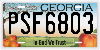 GA license plate PSF6803