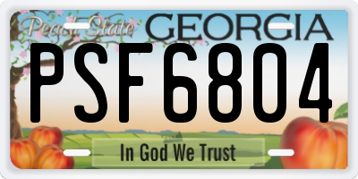 GA license plate PSF6804
