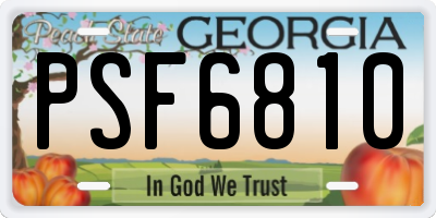 GA license plate PSF6810