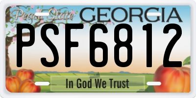 GA license plate PSF6812
