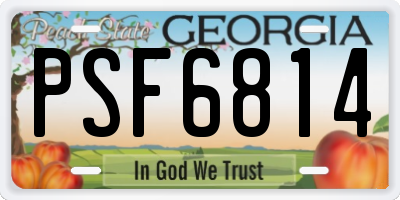GA license plate PSF6814