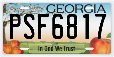 GA license plate PSF6817