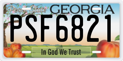 GA license plate PSF6821