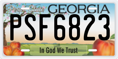 GA license plate PSF6823