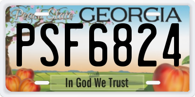 GA license plate PSF6824