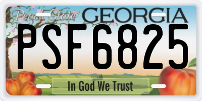 GA license plate PSF6825