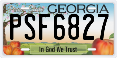 GA license plate PSF6827