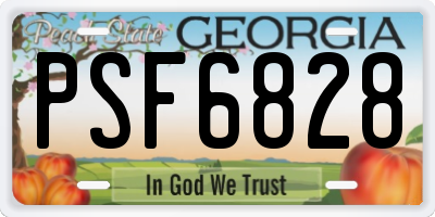 GA license plate PSF6828
