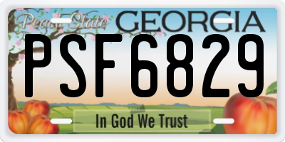 GA license plate PSF6829