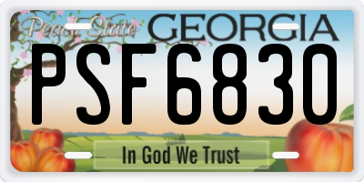 GA license plate PSF6830