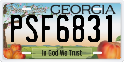 GA license plate PSF6831