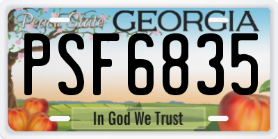 GA license plate PSF6835