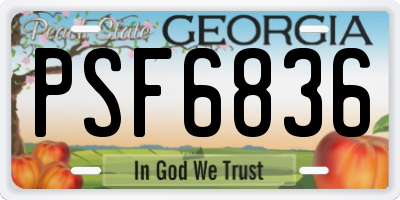 GA license plate PSF6836