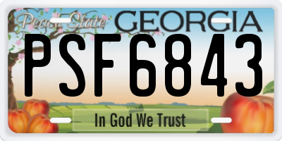 GA license plate PSF6843