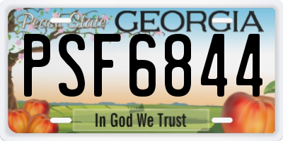GA license plate PSF6844