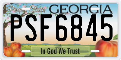 GA license plate PSF6845