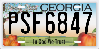 GA license plate PSF6847