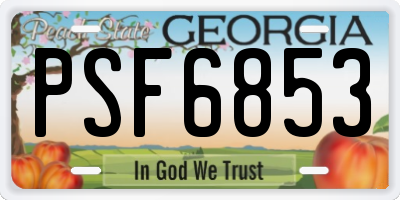 GA license plate PSF6853