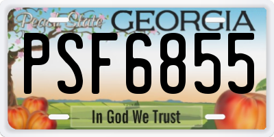 GA license plate PSF6855