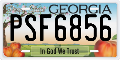 GA license plate PSF6856