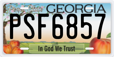 GA license plate PSF6857