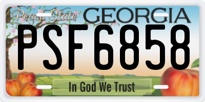 GA license plate PSF6858