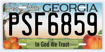 GA license plate PSF6859