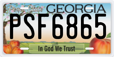 GA license plate PSF6865