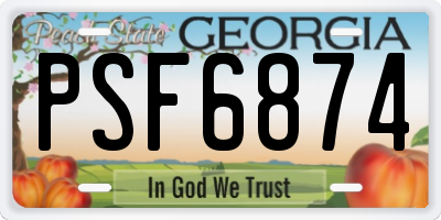 GA license plate PSF6874