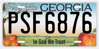 GA license plate PSF6876