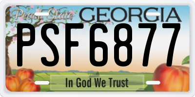 GA license plate PSF6877