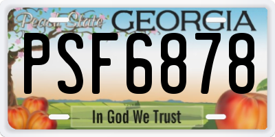GA license plate PSF6878