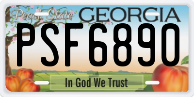 GA license plate PSF6890