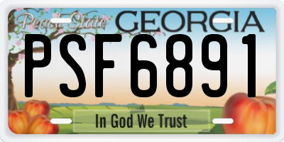 GA license plate PSF6891
