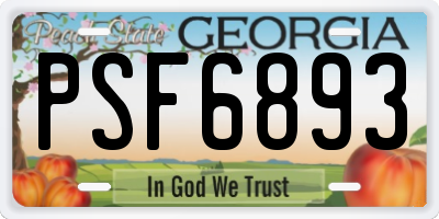 GA license plate PSF6893