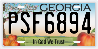 GA license plate PSF6894