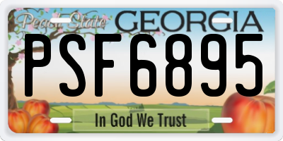 GA license plate PSF6895