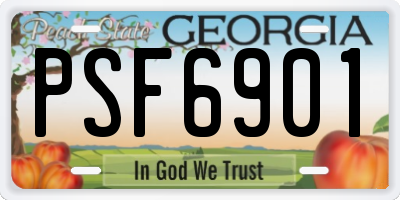 GA license plate PSF6901