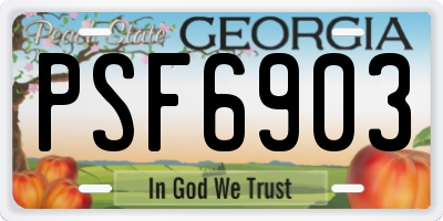 GA license plate PSF6903