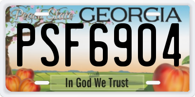 GA license plate PSF6904