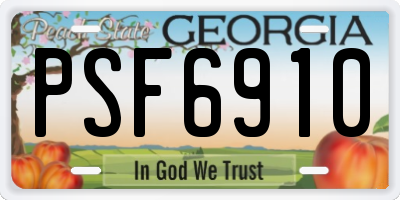 GA license plate PSF6910