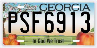 GA license plate PSF6913