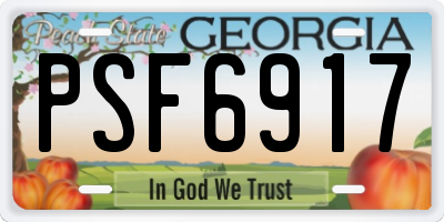 GA license plate PSF6917