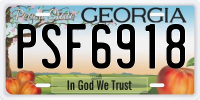 GA license plate PSF6918